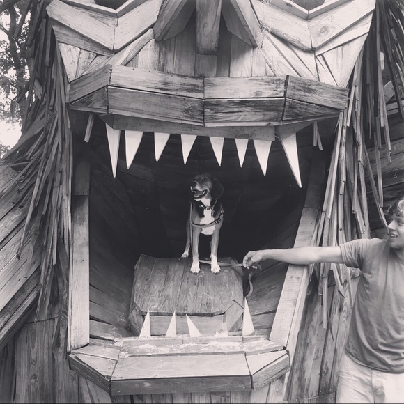 Meet your Posher, Caroline - Picture 4 of 6